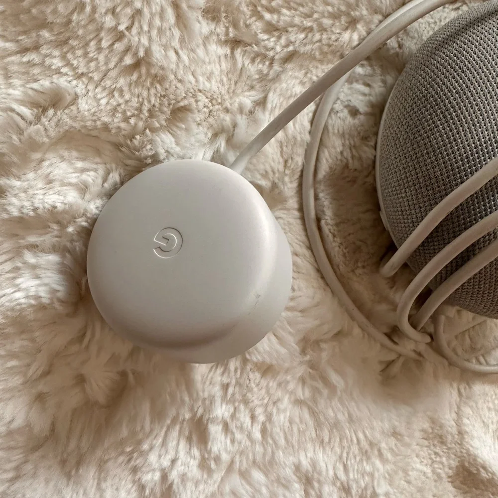 Google home. No box. Used condition.